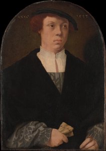Portret van een man, 1533