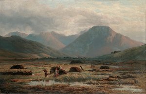 Veenmoeras, Letterfrack, Connemara door Bartholomew Colles Watkins