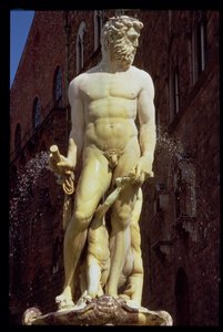 De Neptunusfontein (detail)