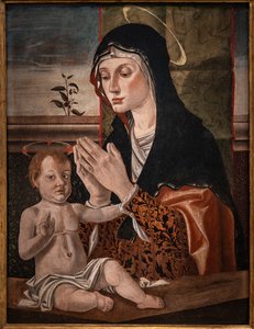 Madonna met kind Jezus door Bartolomeo Montagna