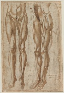Twee Studies van een Gevild Man (recto) door Bartolommeo da Arezzo