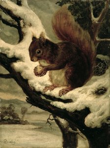 Een rode eekhoorn die een noot eet door Basil Bradley