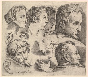 Studies van hoofden
