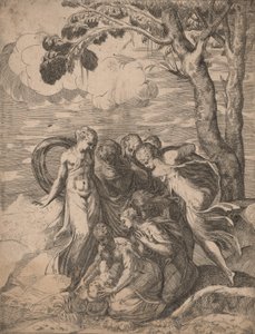 De Vondst van Mozes, 1540s