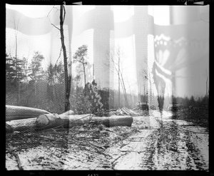  door Beata Brząkalik-Gburek