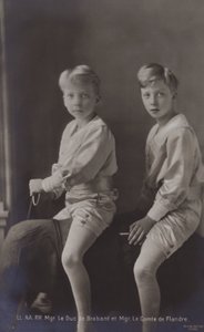 De Hertog Van Brabant, De Graaf Van Vlaanderen, op speelgoedolifant door Belgian Photographer
