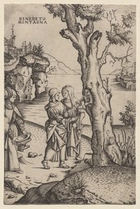 Geboorte van Adonis (uit de serie: De Metamorfosen) door Benedetto Montagna