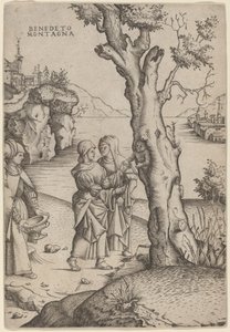 Geboorte van Adonis door Benedetto Montagna