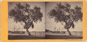 Wilgenboom. Geplant door Com. Perry en andere overlevenden van de slag bij Lake Erie, om de begraafplaats van de gesneuvelden te markeren.