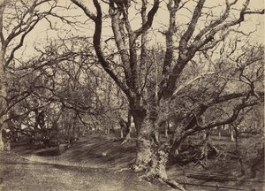 Pepperharrow Park, Surrey, 1852-54 door Benjamin Brecknell Turner