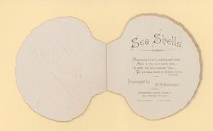 Illustratie voor boekje getiteld Zeeschelpen