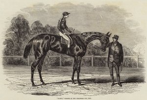 Nancy, Winnaar van de Goodwood Cup, 1851 door Benjamin Herring