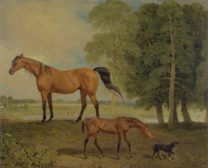 Fokmerrie met Veulen en Terrier