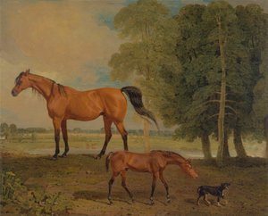 Fokmerrie met Veulen en een Terrier