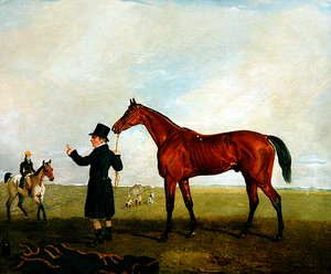 Emilius met stalknecht