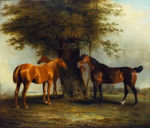 Jagers op het gras, 1801
