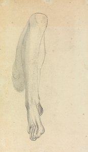 Anatomische Studie van een Been door Benjamin Robert Haydon