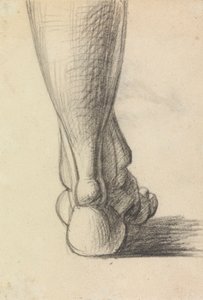 Anatomische studie van de hiel van een voet