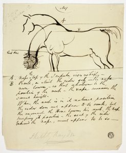 Schets van een paard met notities door Benjamin Robert Haydon