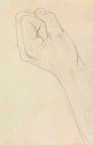 Studie van een hand, gebald tot een vuist