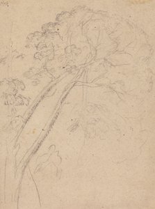 Kostuumstudie voor het Portret van een Dame