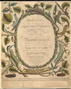 Frontispice uit Een Zeldzame Afbeelding van Vlinders en Motten, uitgegeven 1764 door Benjamin Wilkes