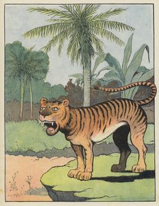Tijger door Benjamin Rabier