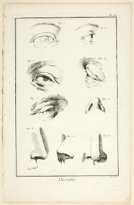 Ontwerp: Gezichtsanatomie uit Encyclopédie door Benoit Louis Prevost