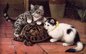 Katten ansichtkaart