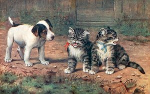 Katten ansichtkaart