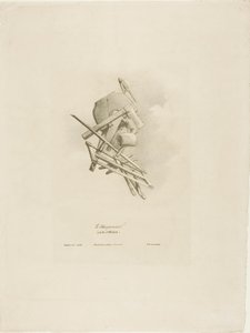 De timmerman, uit Arts et Métiers door Bernard Gaillot