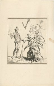 Tabaksplant en oorspronkelijke bewoner van Amerika door Bernard Picart (workshop of)