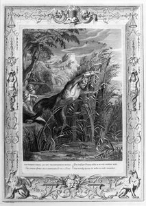 Pan achtervolgt Syrinx (gravure)