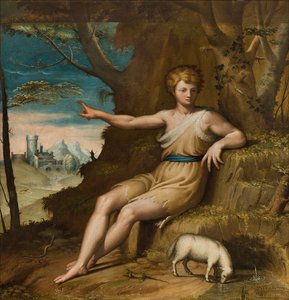 Kapel van Onze Lieve Vrouw van het Volk, Tweede span zuidzijde, Bernardino Campi, San Giovanni nel Desert 1569