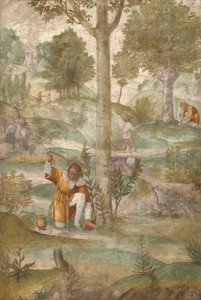 Cephalus verbergt de juwelen door Bernardino Luini