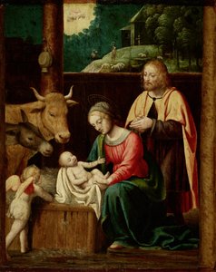 De geboorte van Christus door Bernardino Luini