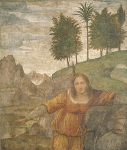 Procris Doorboord door Cephalus