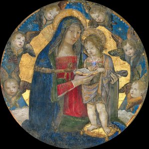 Madonna en Kind met Cherubijnen, 1492-1495 door Bernardino Pinturicchio
