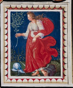 Piccolomini Bibliotheek, het plafond, paneel met allegorie van Vrede