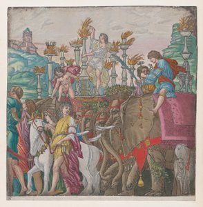 Blad 5: Olifanten, uit De Triomf van Julius Caesar, 1599 door Bernardo Malpizzi