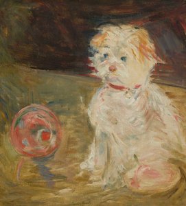Hond met bal