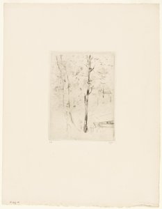 Het meer in het Bois de Boulogne door Berthe Morisot