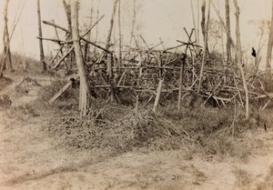 Album van de Eerste Wereldoorlog in Friuli-Venezia Giulia: defensieve hindernis (cavalli di Frisia), 05/1916 door Bertoni Bertoni