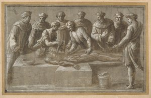 Zes professoren in de anatomie, die een gevilde mannelijke lijk ontleden door Biagio Pupini