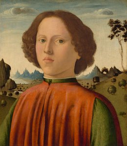 Portret van een jongen