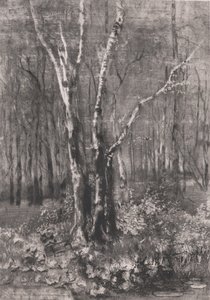 Bos in het Park bij Monza, 1895