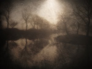 Weerspiegeling in het mistige bos door Bill Eiffert