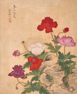 door Bing Yun