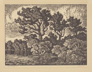 Wilg en Cottonwood, omstreeks 1931 (linoleumsnede) door Birger Sandzen