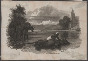 Boeren dragen dood vee, ca. 1850 (gravure) door Blasius Höfel